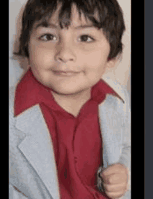 a young boy wearing a red shirt and a gray jacket is smiling for the camera .