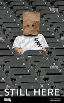 a person wearing a paper bag on their head is sitting in a stadium with the words still here below them