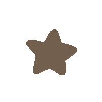 a brown star on a white background with no shadow