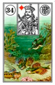 a tarot card with a picture of a king and turtles in the water