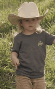 a young boy wearing a cowboy hat and a gray t-shirt stands in a grassy field