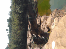 a waterfall is surrounded by trees and rocks and a body of water