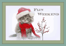 a picture of a kitten wearing a santa hat and scarf with the words fijn weekend