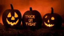 three carved pumpkins with the words trick or treat written on them