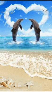 two dolphins are jumping out of the water with a heart shaped cloud in the background