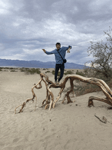 a man in a blue shirt is jumping over a tree branch in the desert