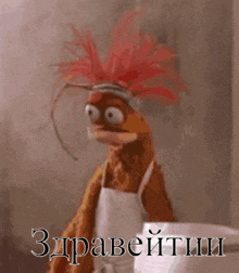 a muppet with a red feathered head is standing next to a sign that says zdraveitiu