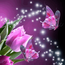 two butterflies are flying over a purple flower with the letters mc on the bottom