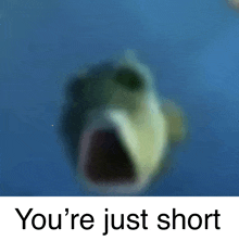 a picture of a fish with its mouth open and the words you 're just short