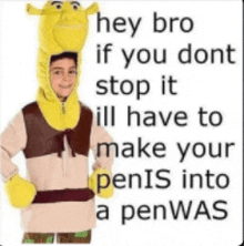 a boy in a shrek costume says hey bro if you dont stop it ill have to make your penis into a pen was