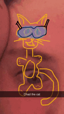 a drawing of a cat with sunglasses and the words chad the cat