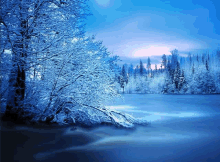 a lake surrounded by snow covered trees and a sunset in the background