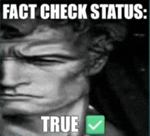 a black and white photo of a statue with the caption " fact check status "