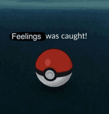 a red and white pokemon ball with the words feelings was caught below it