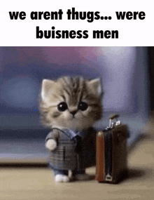 a kitten wearing a suit and tie is holding a suitcase and says we arent thugs were business men