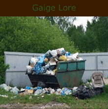 a dumpster full of garbage with the name gaige lore on the top