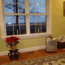 a room with a humidifier and a poinsettia on a stand in front of a window