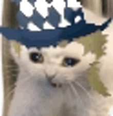 a close up of a cat wearing a blue hat on its head .