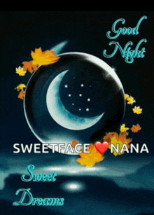 a picture of a crescent moon with the words " good night sweet face nana sweet dreams "