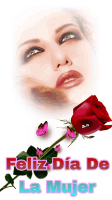 a woman 's face is behind a red rose with the words feliz dia de la mujer