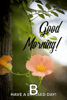 a picture of a flower with the words " good morning " on it