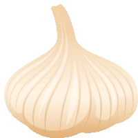 a cartoon drawing of a garlic bulb with a long stem