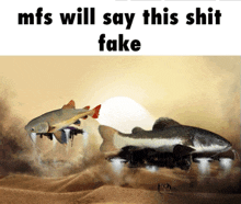 a picture of two fish with the words mfs will say this shit fake below them