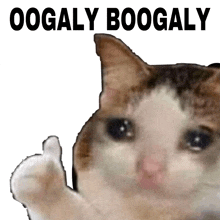 a crying cat giving a thumbs up with the words oogaly boogaly above it