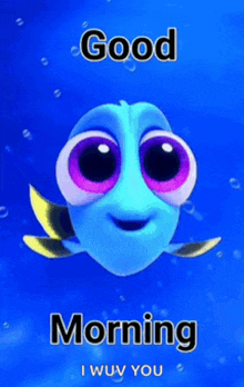 a cartoon fish with big eyes is saying good morning i wouv you