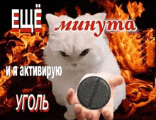 a white cat is holding a piece of coal in front of flames and says " еще минута "