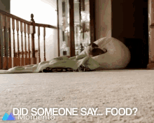 a dog laying on a bean bag chair with the words " did someone say food " on the bottom