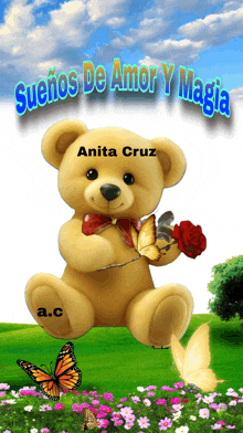 a picture of a teddy bear holding a rose with the name anita cruz