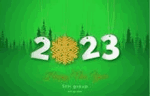 the numbers 2022 are hanging from a string on a green background with trees and snowflakes .