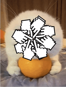 a white cat is holding an orange in front of its face with a pixelated flower on it