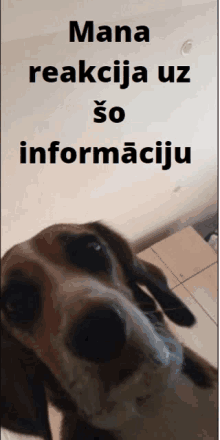 a picture of a dog with a caption that says mana reakcija uz so informaciju