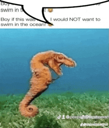 a seahorse with a t-rex head is swimming in the ocean