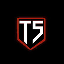 a black and red logo with the letter ts