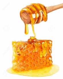 honey dripping from a honey dipper on a honeycomb