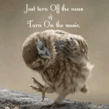 an owl is standing on a rock with a quote that says `` just turn off the news & turn on the music . ''