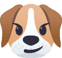 a brown and white dog 's face with an angry look on its face