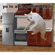 a cat is jumping in the air in a kitchen with the words yo lo abia ponido aqui below it