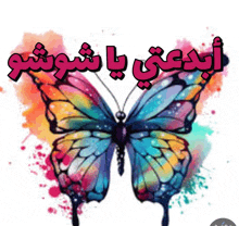 a colorful butterfly is surrounded by arabic writing on a white background