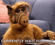 a stuffed animal sitting on a couch with the words currently watching alf above it