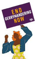 a woman holding a sign that says end gerrymandering now