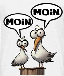 two seagulls standing next to each other with speech bubbles saying moin