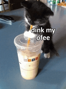 a black and white kitten drinking from a plastic cup that says dink my ofee