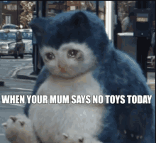 a stuffed animal with the words when your mum says no toys today on it