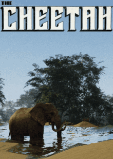 a poster for the cheetah shows an elephant drinking from a river