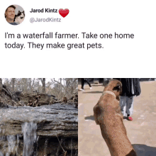 a picture of a waterfall and a picture of a dog with the caption " i 'm a waterfall farmer "