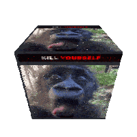 a cube with a picture of a gorilla sticking its tongue out and the words kill yourself on it